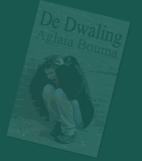 Cover van De Dwaling